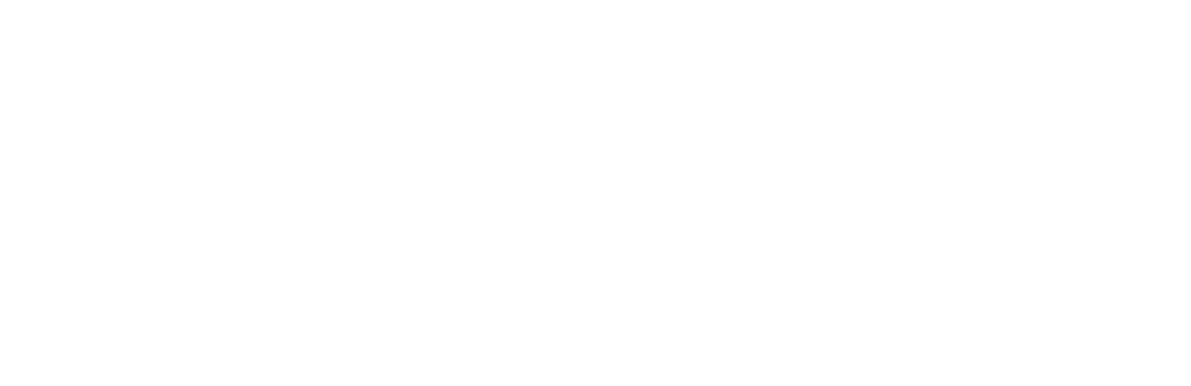 Space Logo